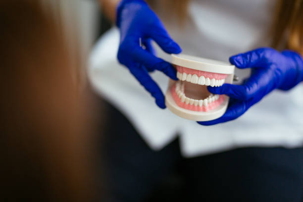 Emergency Dental Services in Flomaton, AL